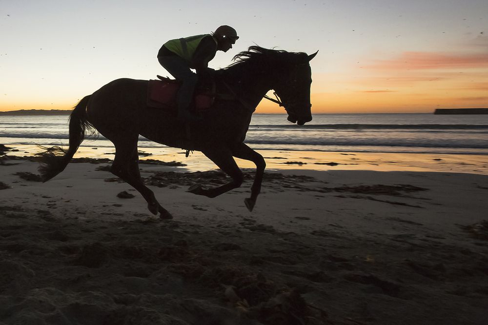 Галоп на рассвете