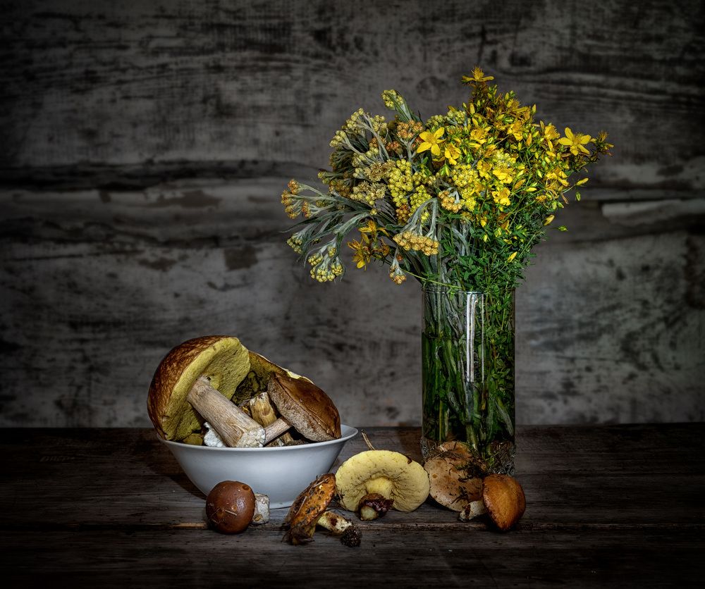 Грибы и лесные травы