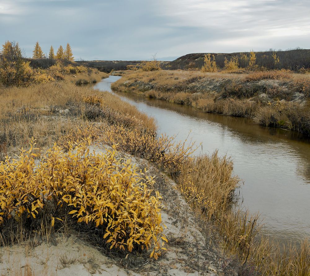 Осень в заполярье