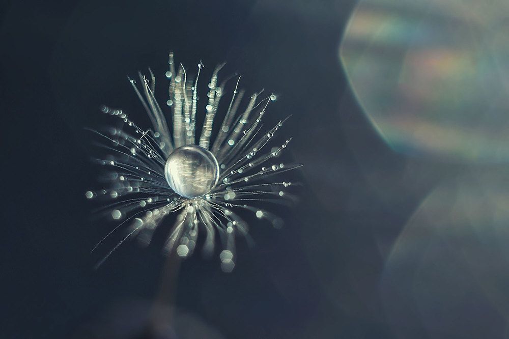 Photograph by Нурият Аллаярова