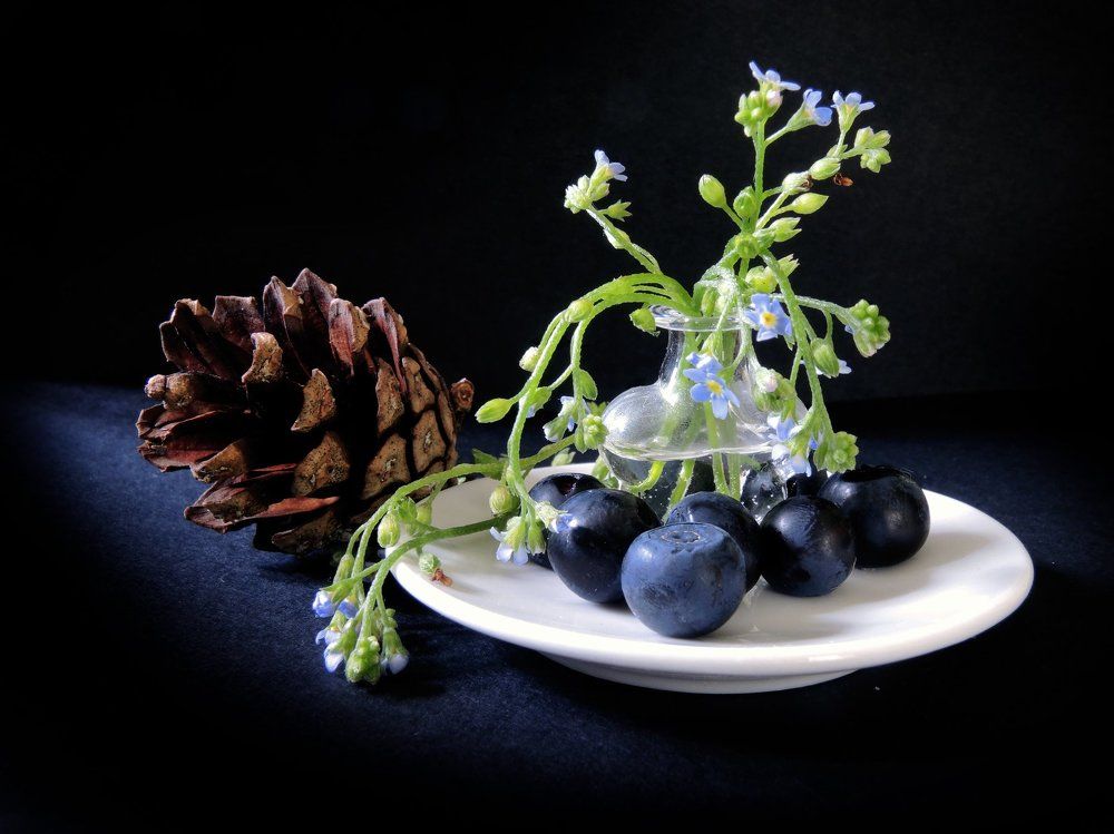 Макро-композиция с голубыми цветами, черникой и сосновой шишкой.