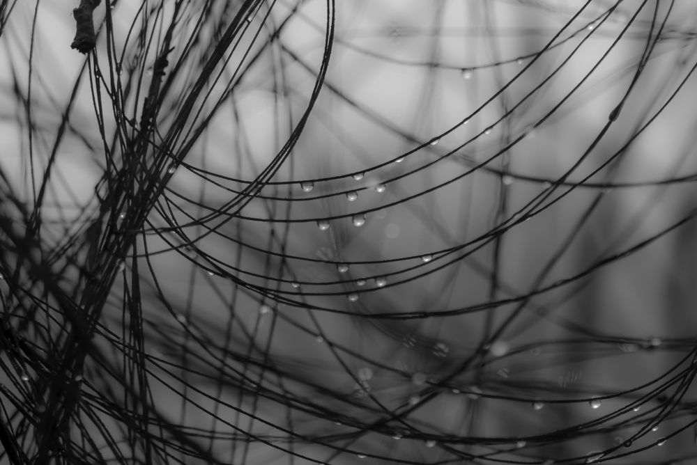 Запутанность