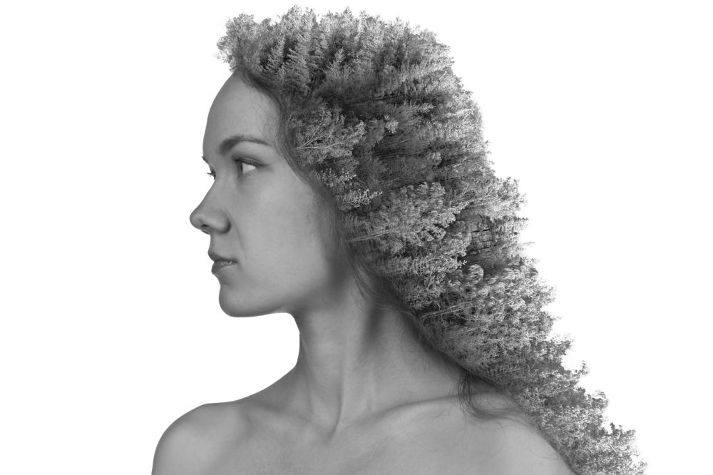 Аннигиляция 2