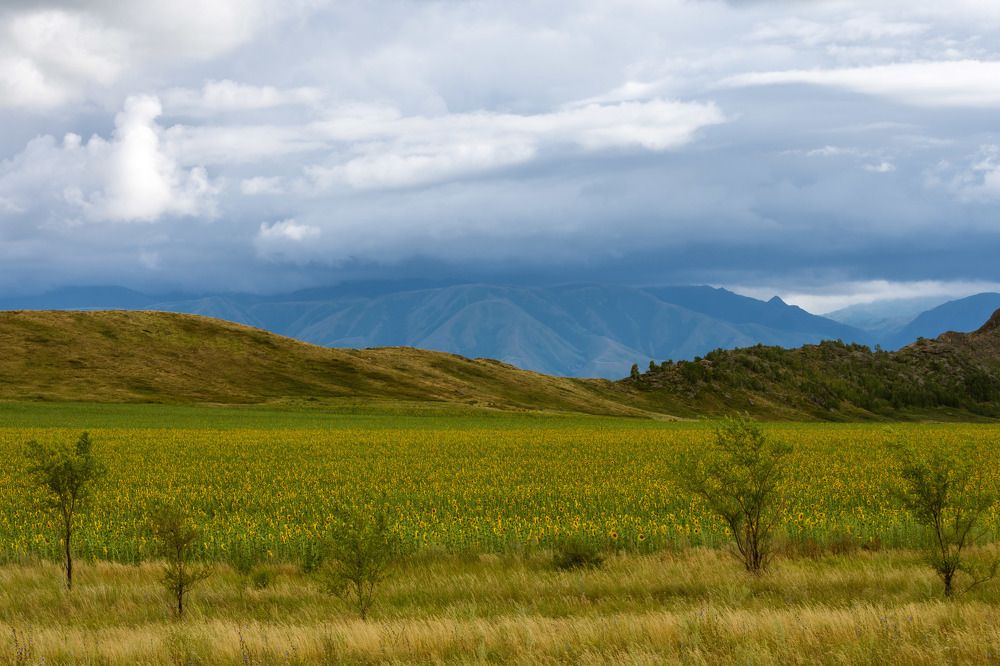 Photograph by Галина Канеева