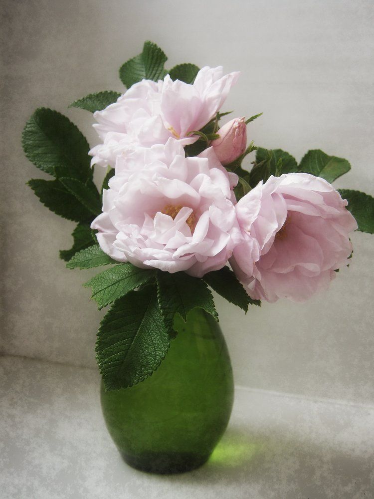 Цветы для любимой ....