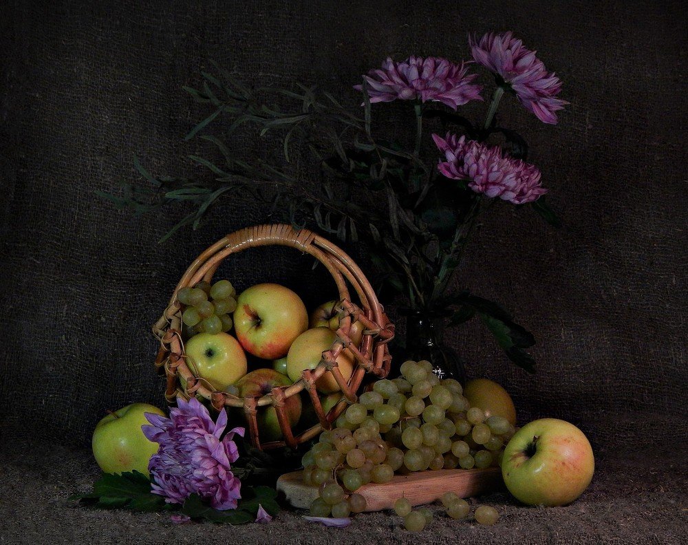 Хризантемы