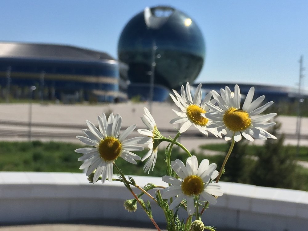 Photograph by Меруерт