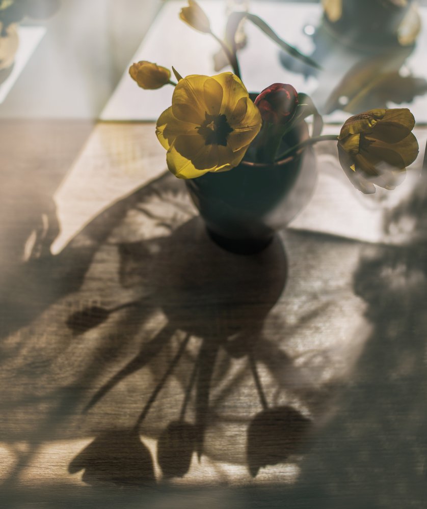 Фотография автора Сигидова Ирина