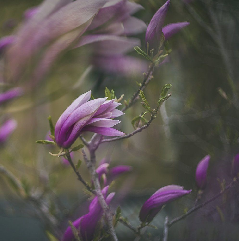 Фотография автора Сигидова Ирина