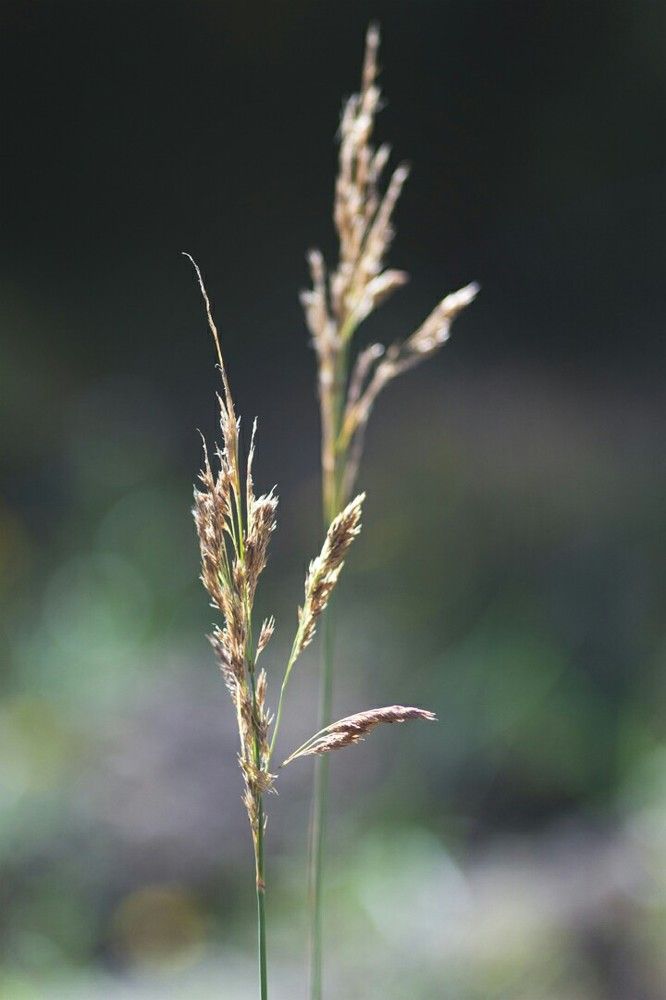 обои на телефон :)