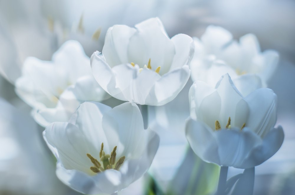 Фотография автора Сигидова Ирина