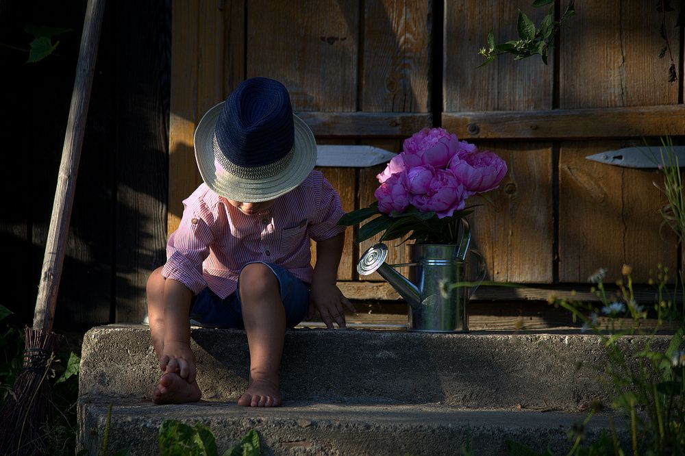 Лето в деревне