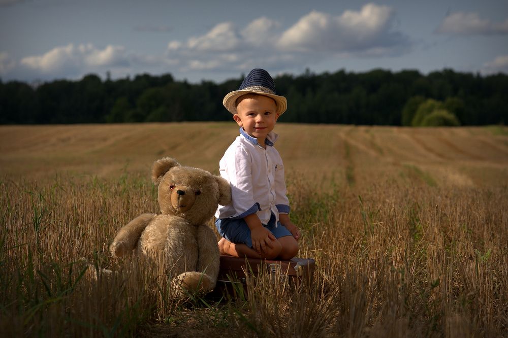 Мишка Тедди