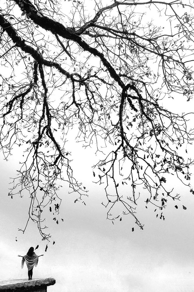 Photograph by Alireza Shahnazi