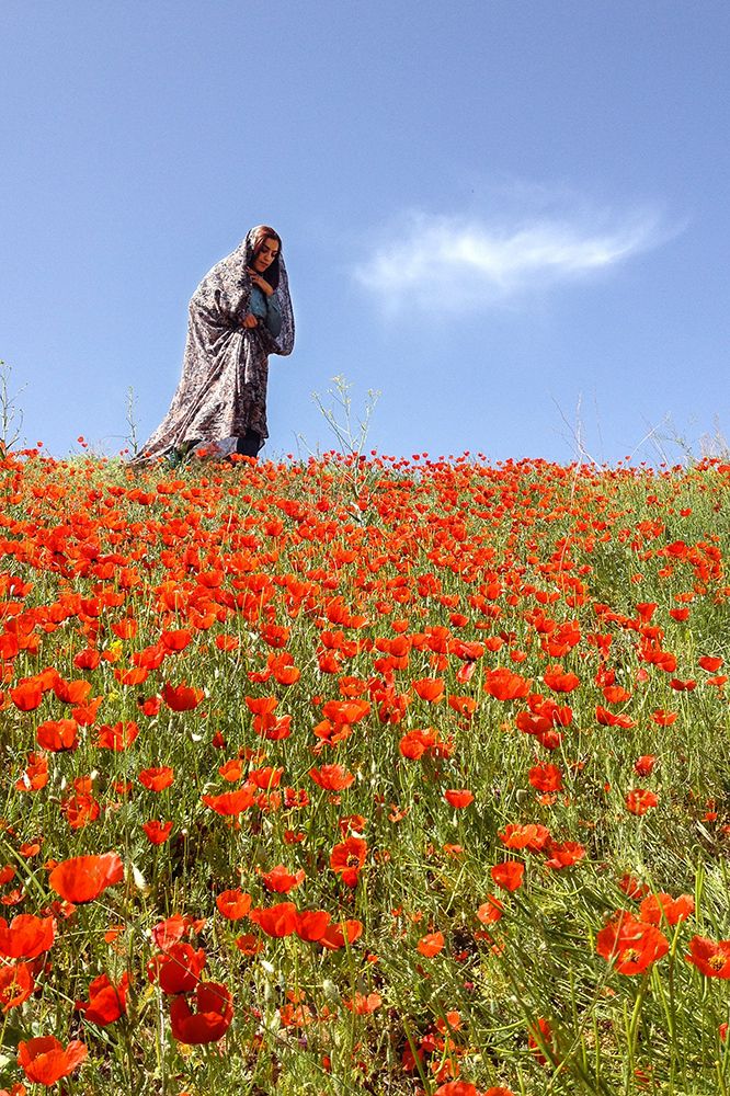 Photograph by Alireza Shahnazi