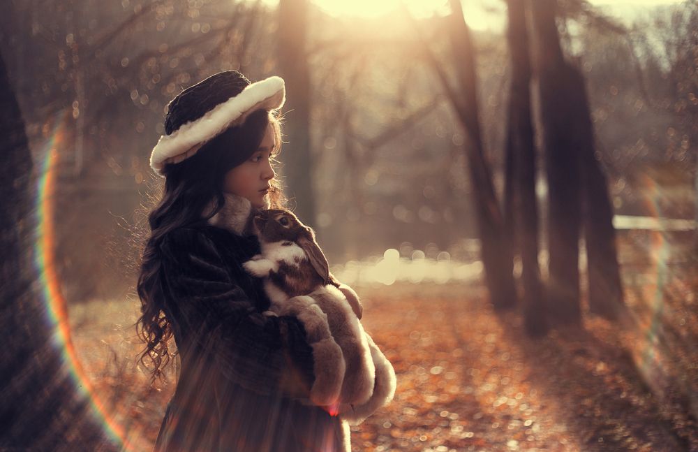 Тепло твоих лап