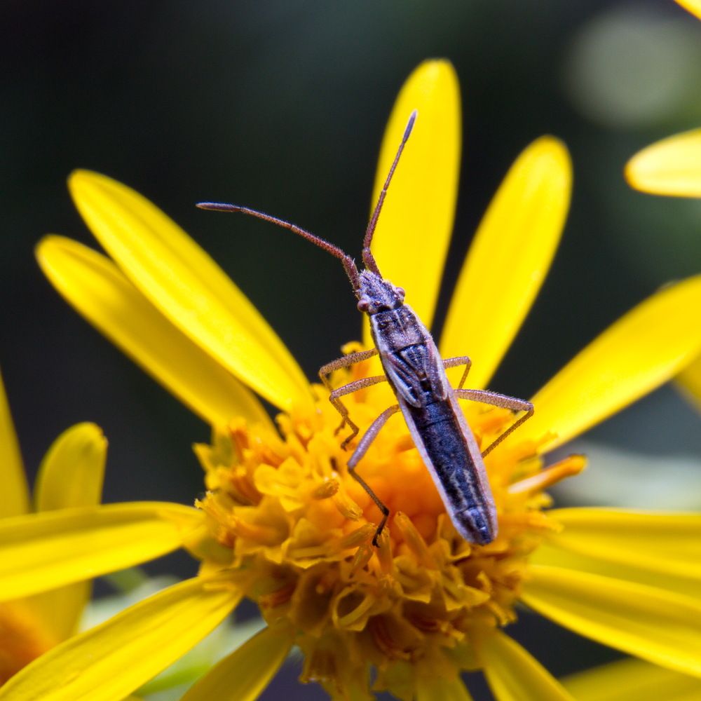 Photograph by Карякин Александр