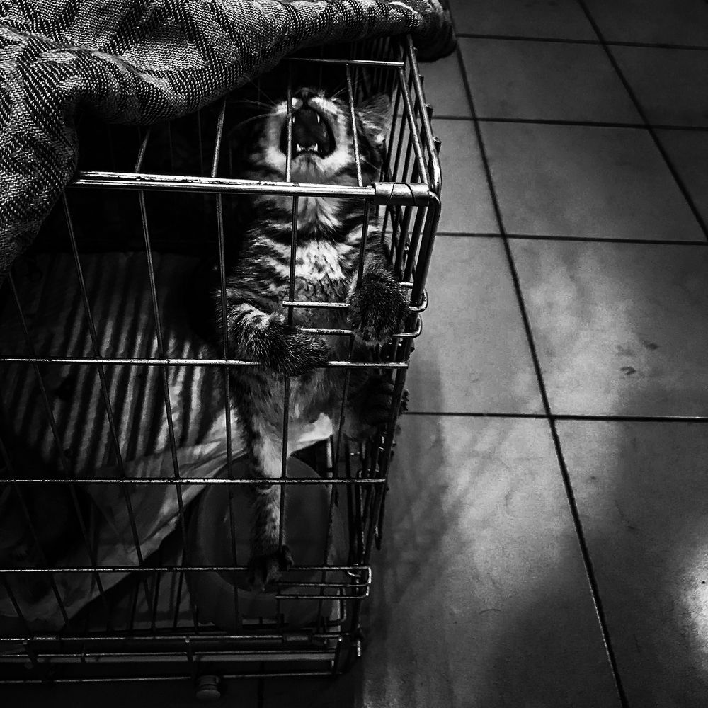 Заберите меня отсюда!