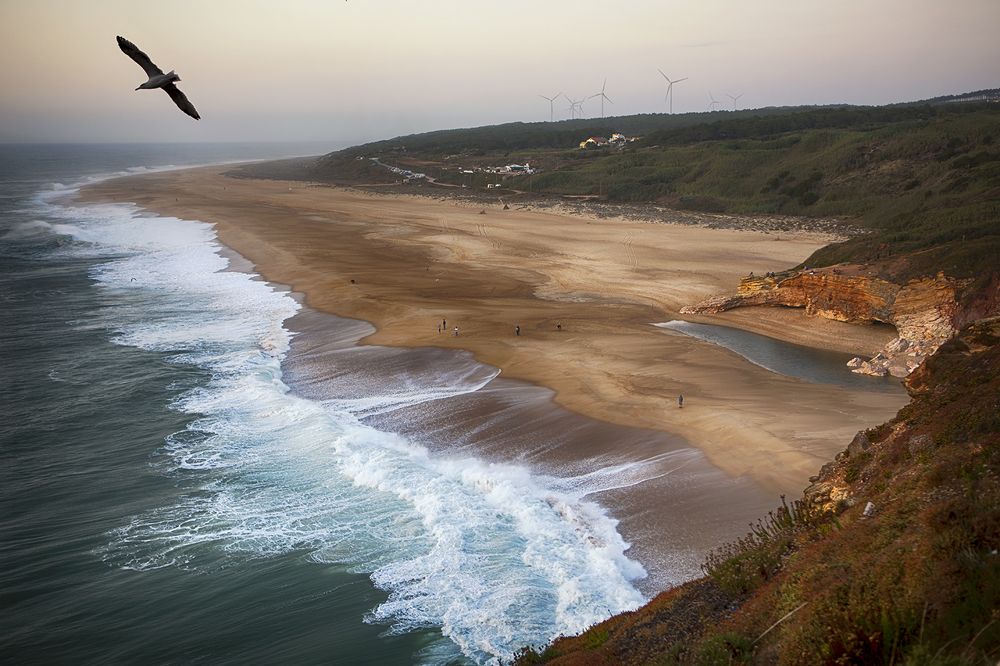 Пляж в Назаре. Португалия.