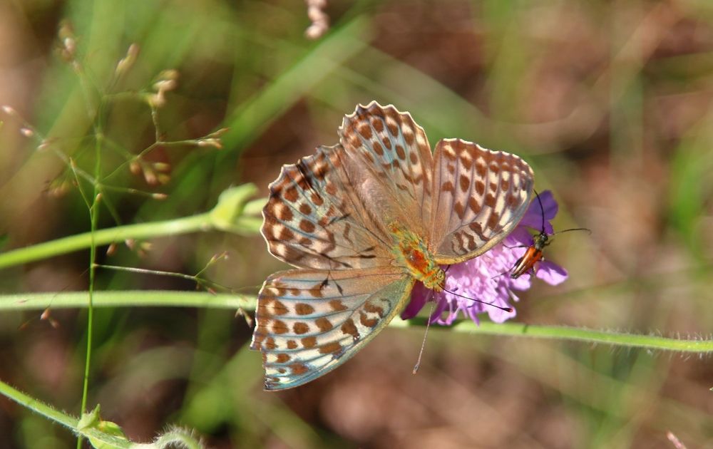 Photograph by Алексей Федулов