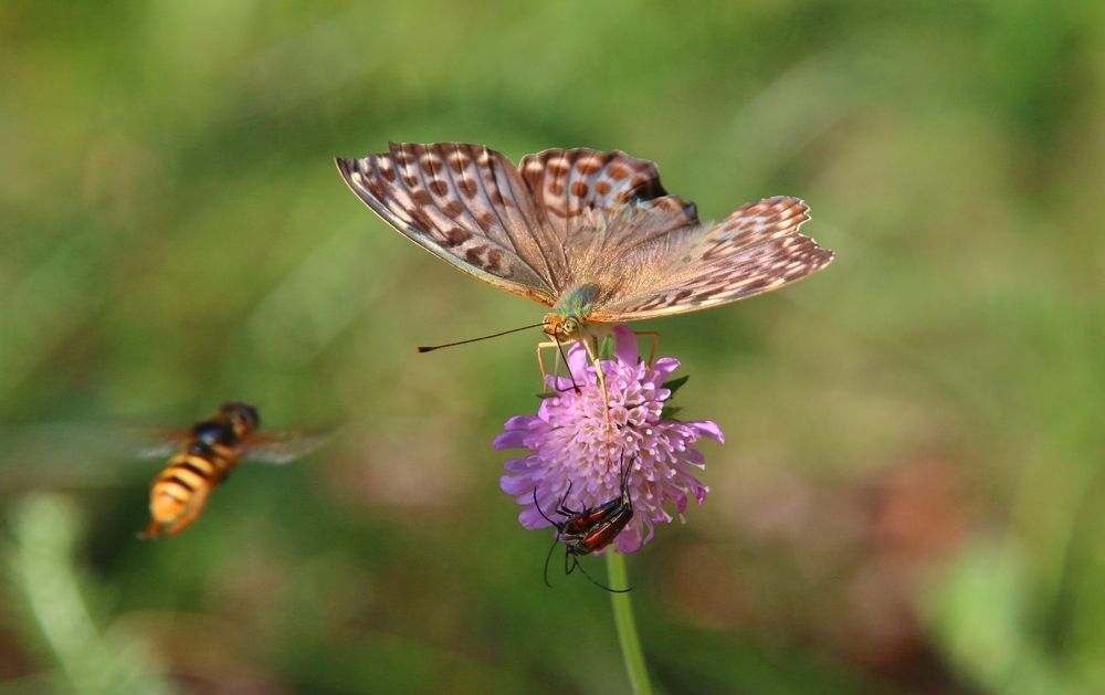 Photograph by Алексей Федулов