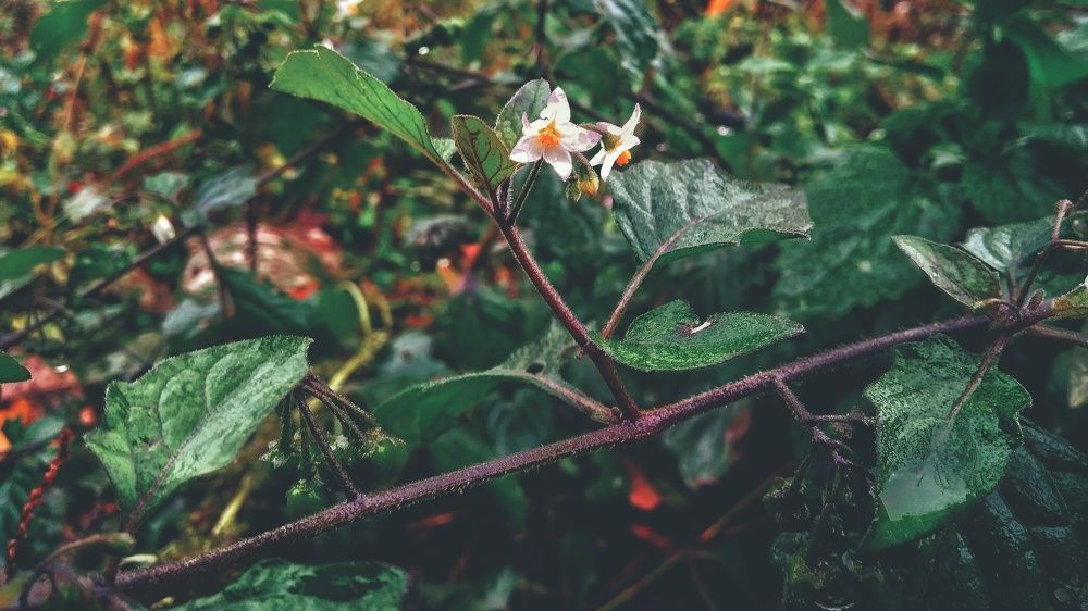 Photograph by Руслан