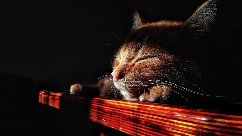 Photograph by Руслан