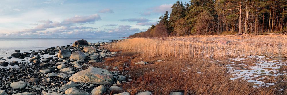 тишина глубокой осени