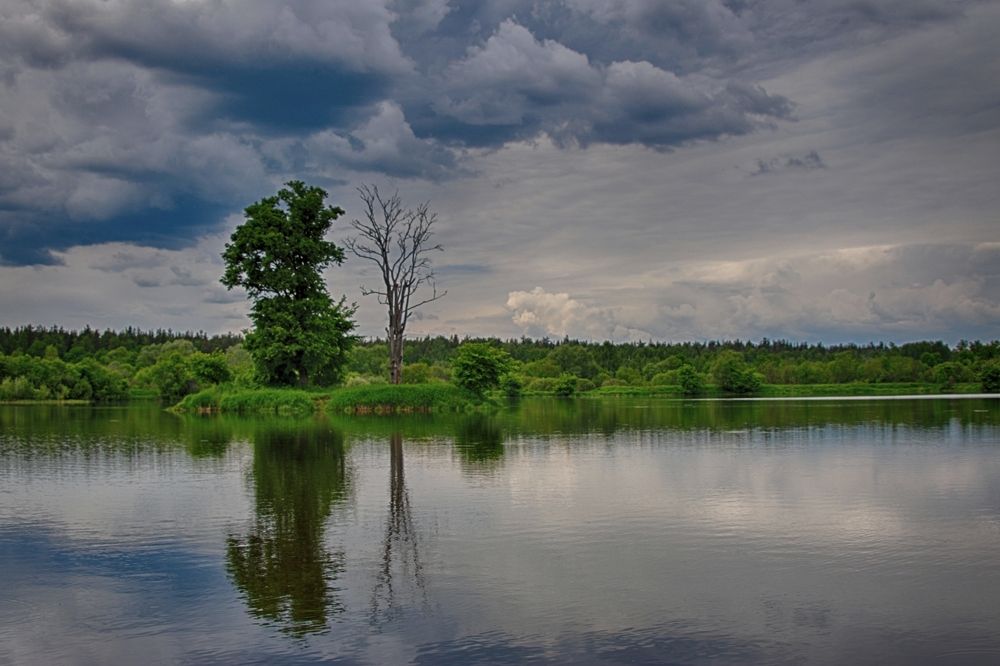 Одиночество