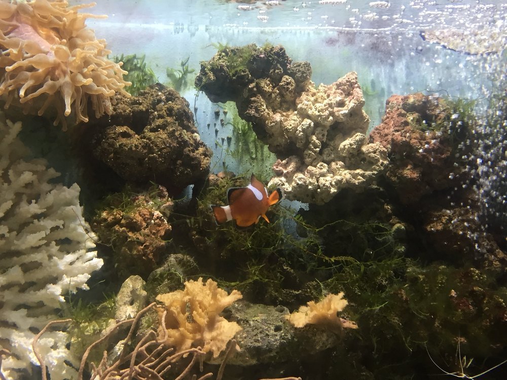 Photograph by Меруерт