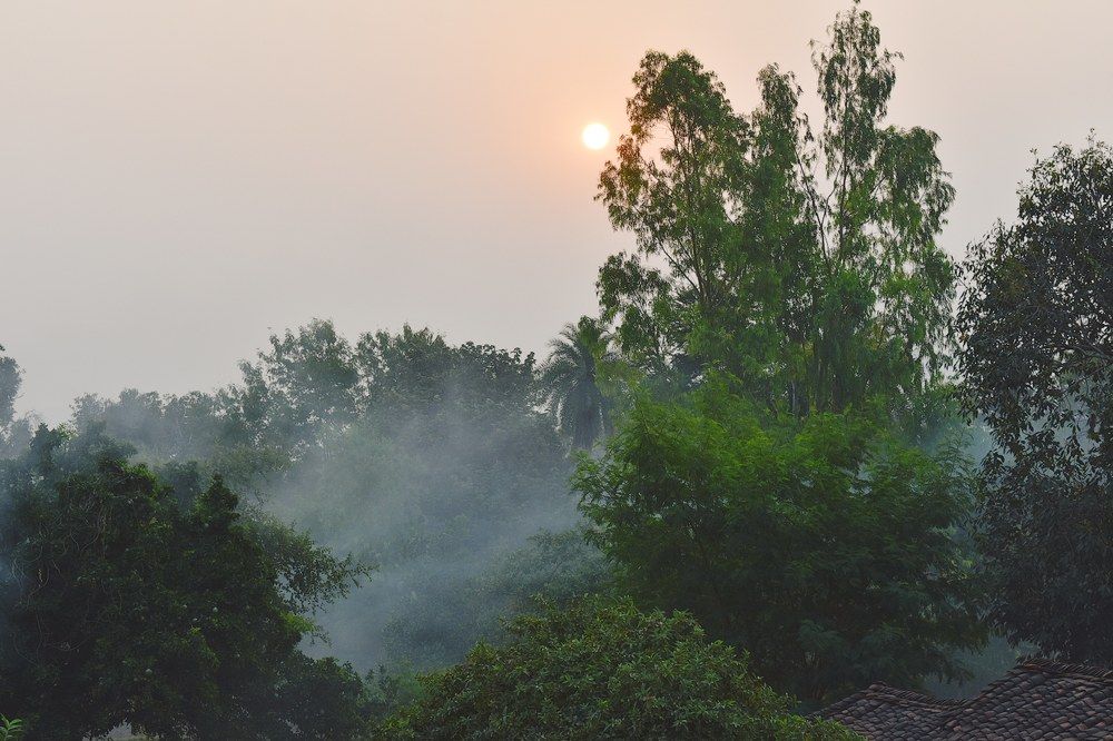 Google local guide photographer