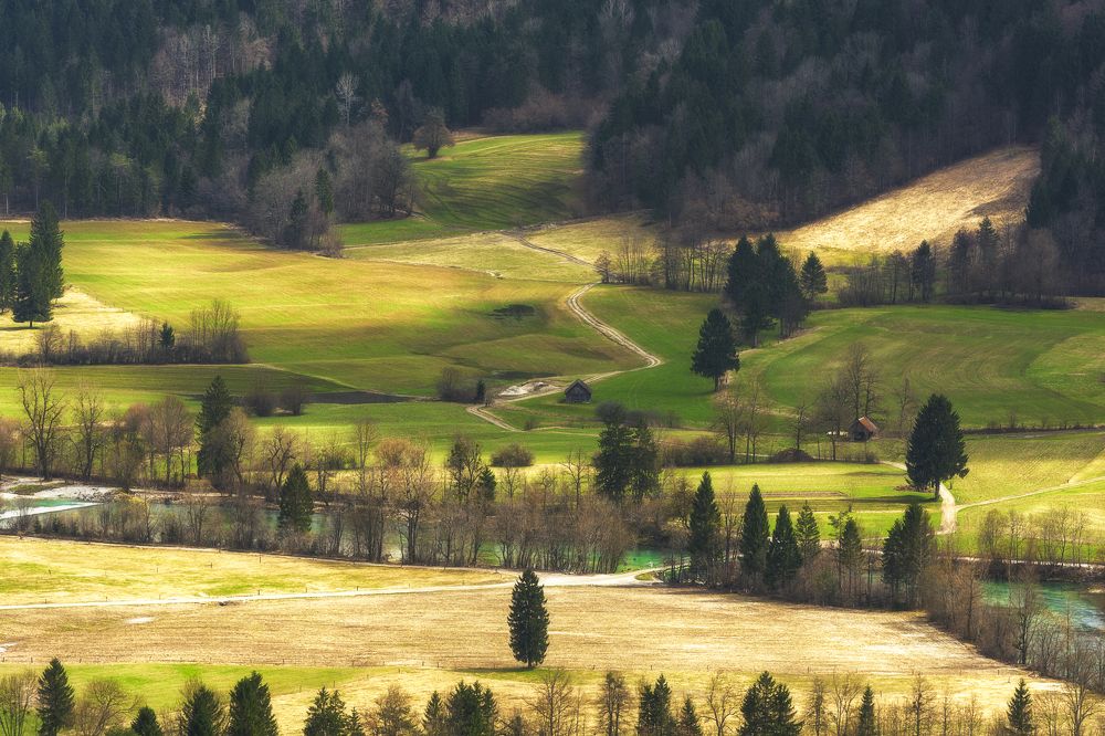 Весна в Словении / Spring in Slovenia