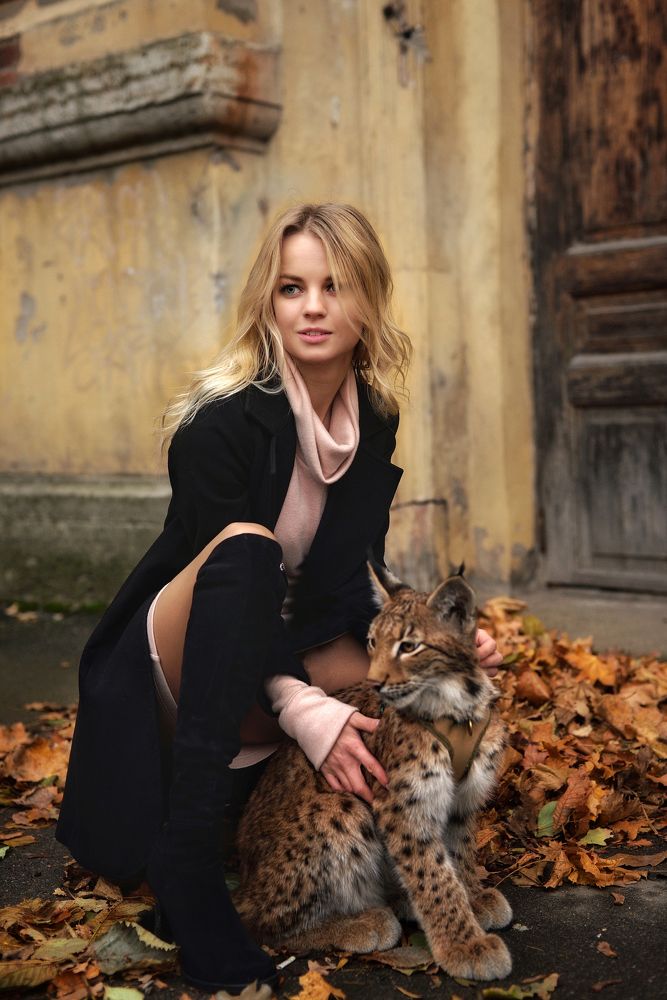 Укрощение котика