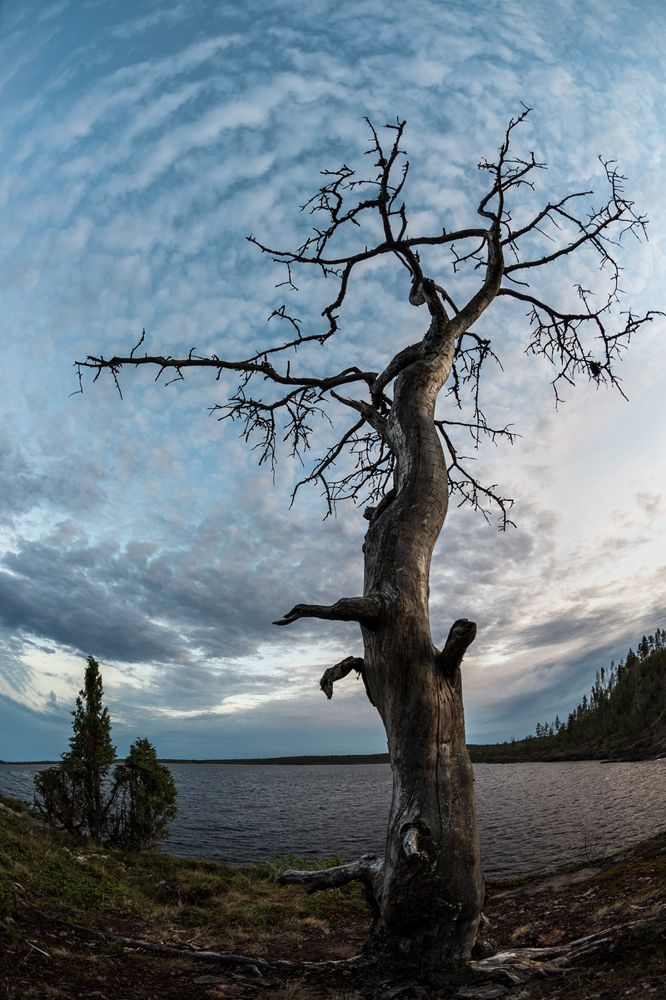 В объятиях неба