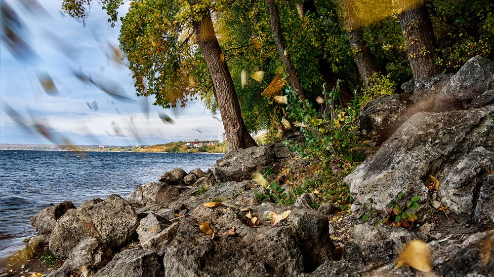 Осенний листопад