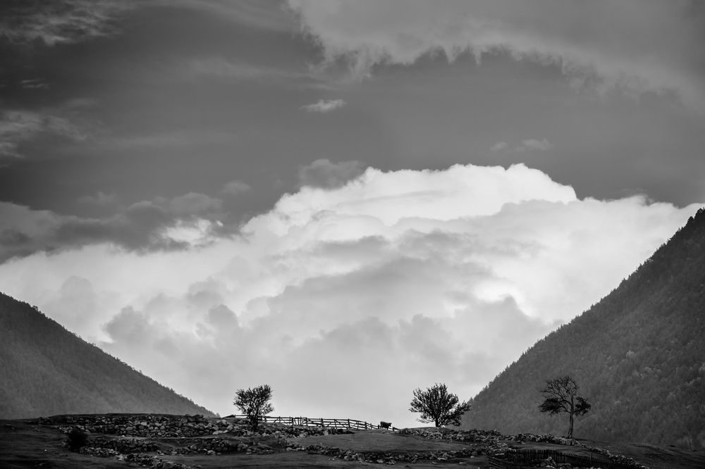 Облачное пастбище