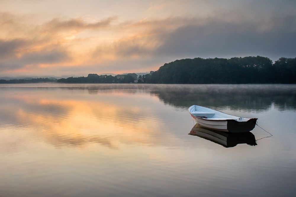Foggy morning at the lake