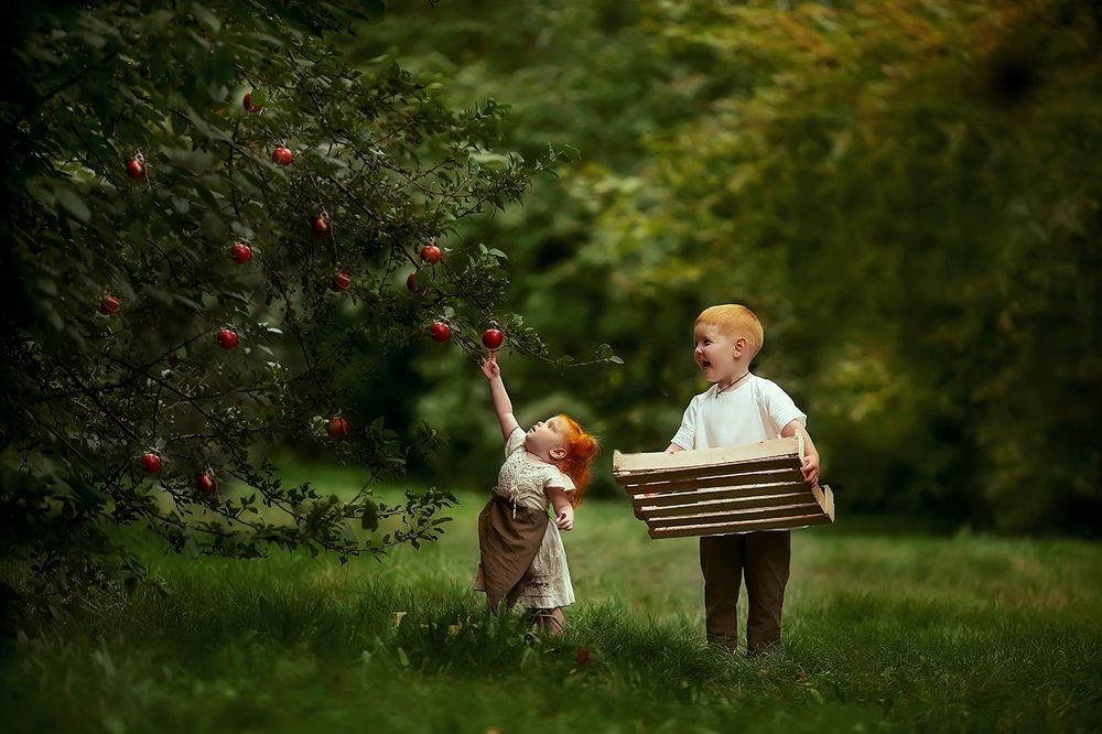 собираем урожай