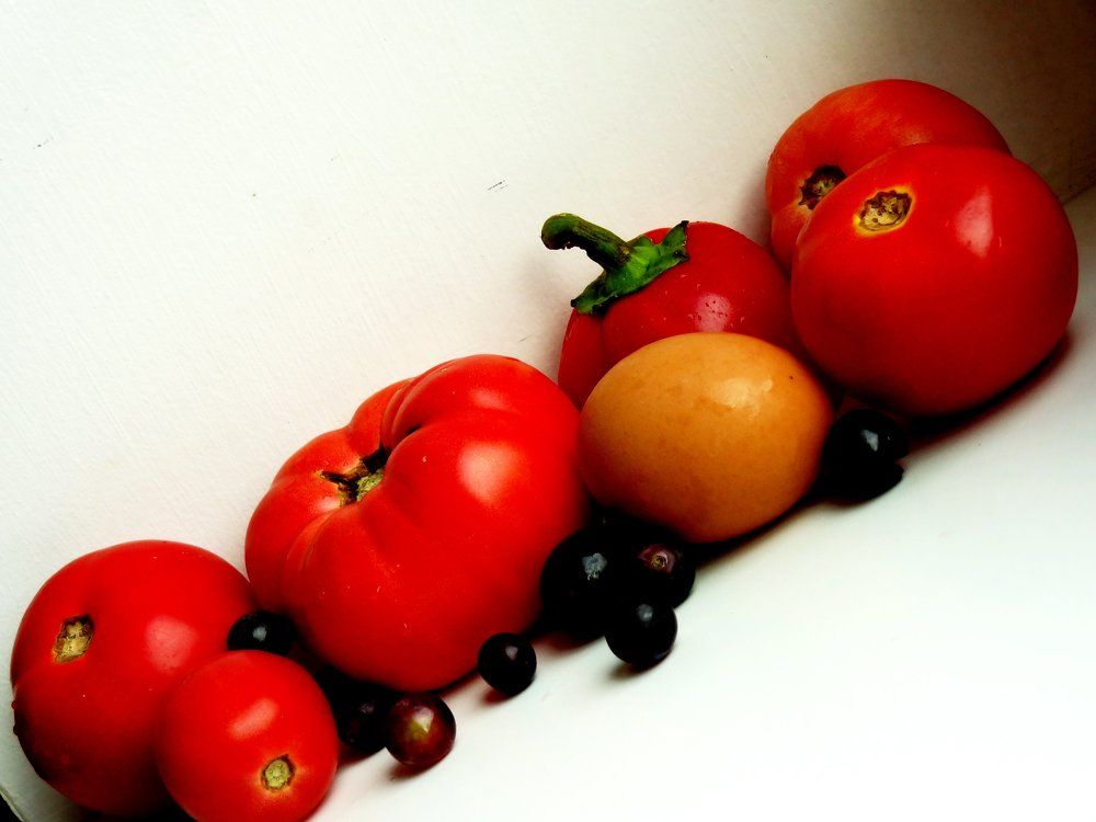 Photograph by Стефанова Татьяна