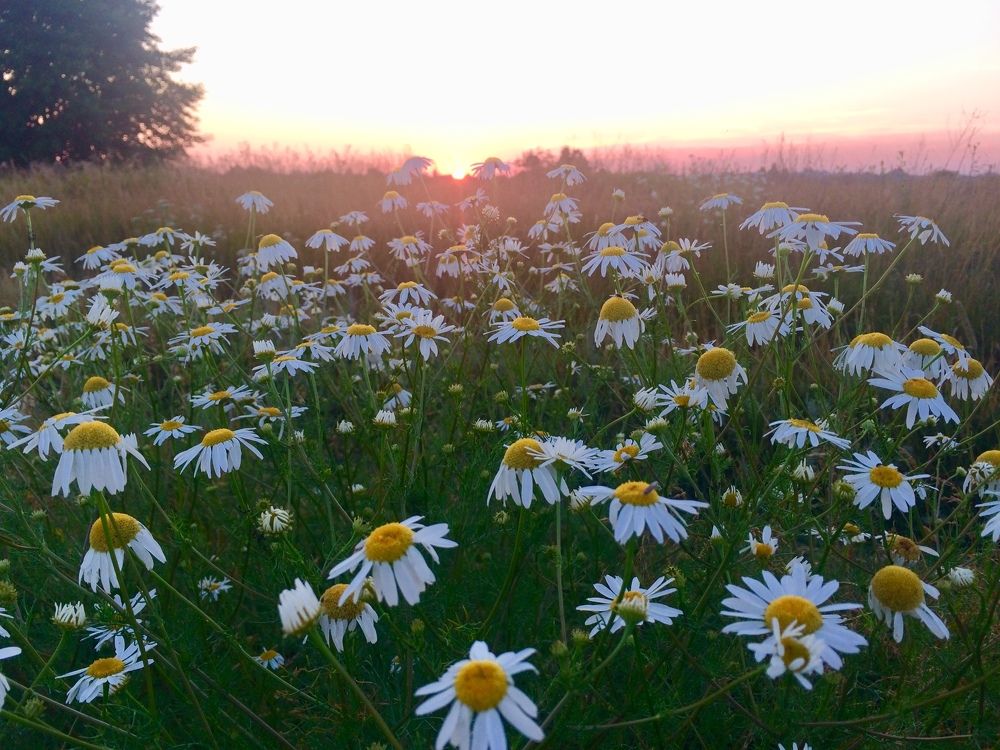 Видеть, слышать, чувствовать..