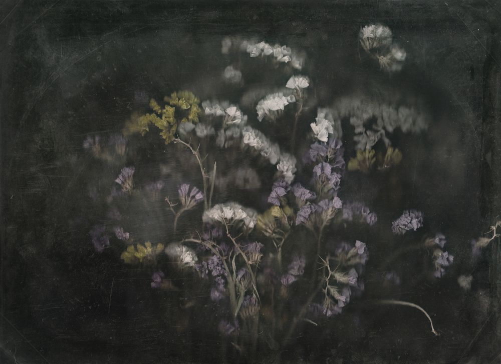 Исчезнувшая красота