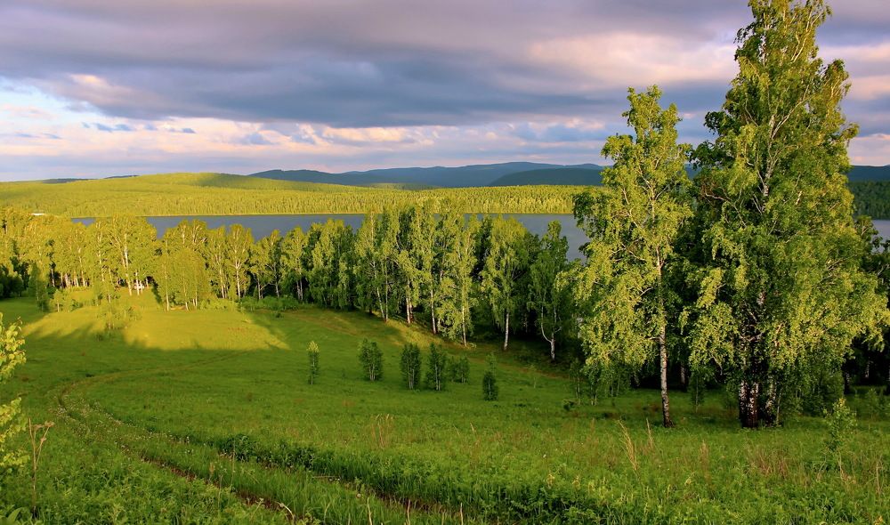 По дороге к озеру Инголь. Сибирь.