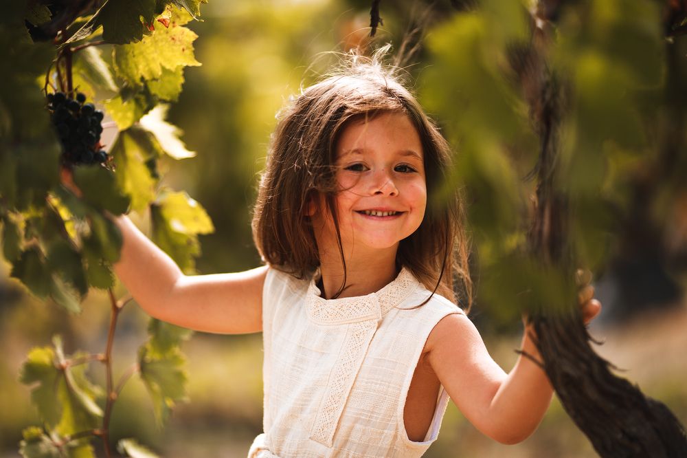 виноградник