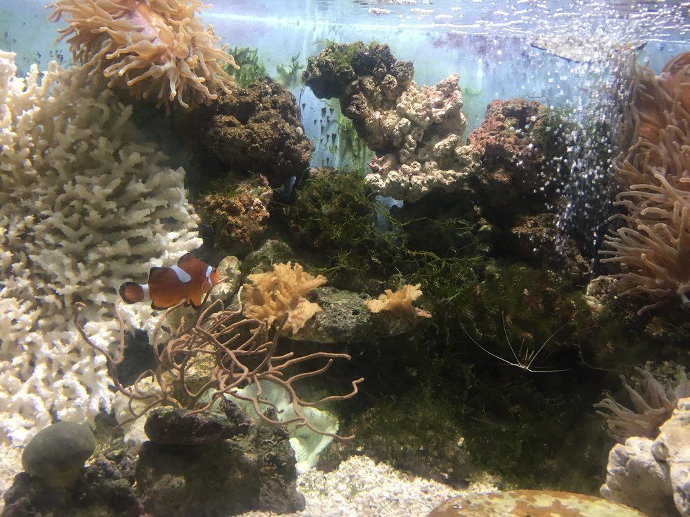 Photograph by Меруерт