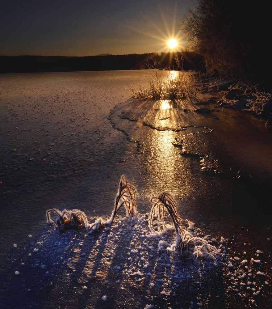 На замёрзшем пруду...