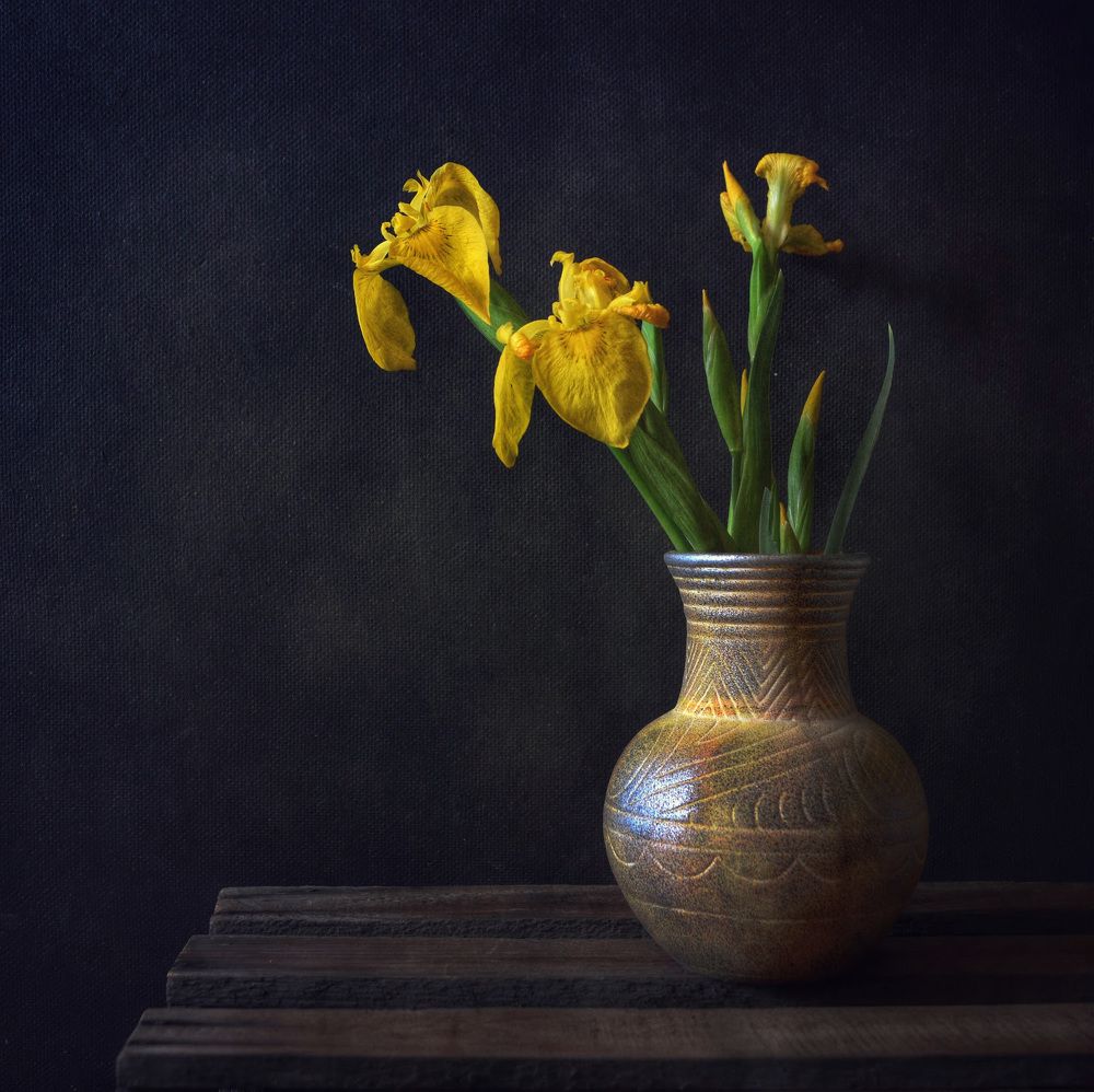 Ирисы в кувшине