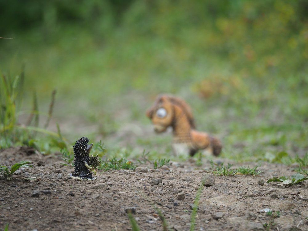 Ежик в тумане