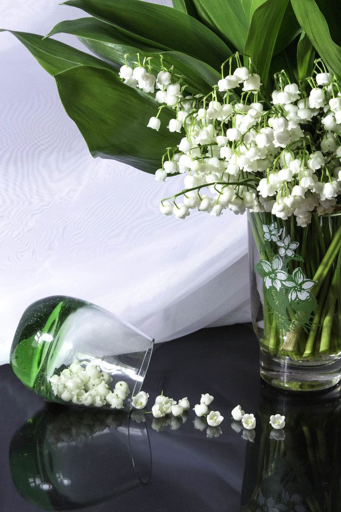 Photograph by Пихтерева Анна