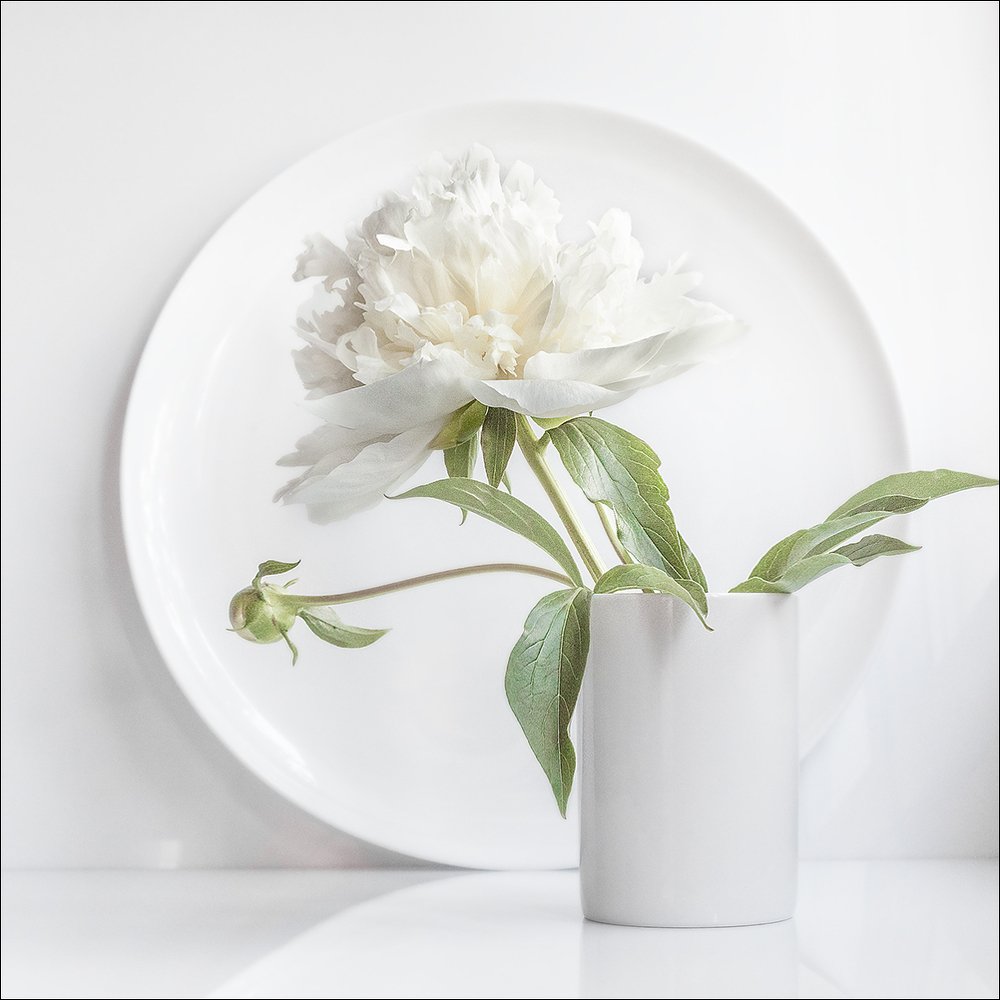 цветной минимализм