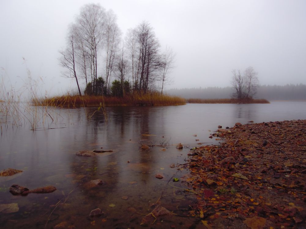 Ноябрьским утром на Вэллен